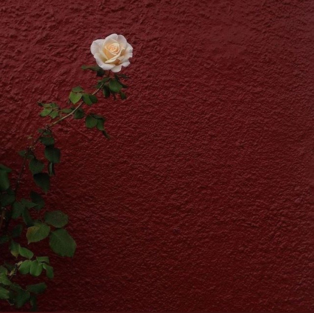 Эстетика в бордовых тонах