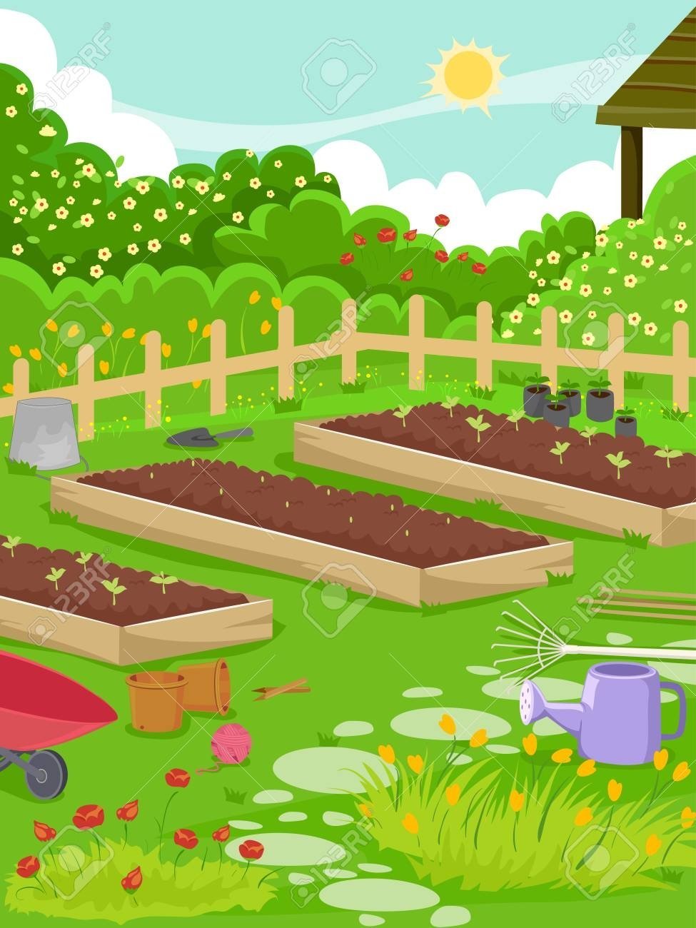 Огород рисунок