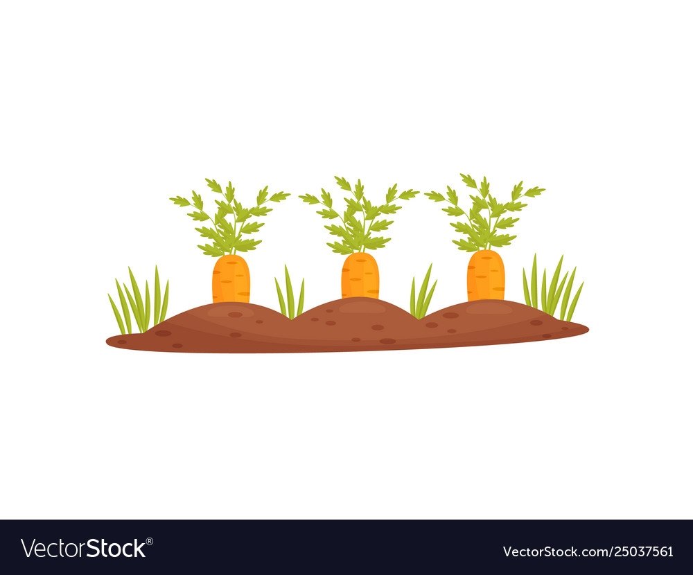 Грядка мультяшная