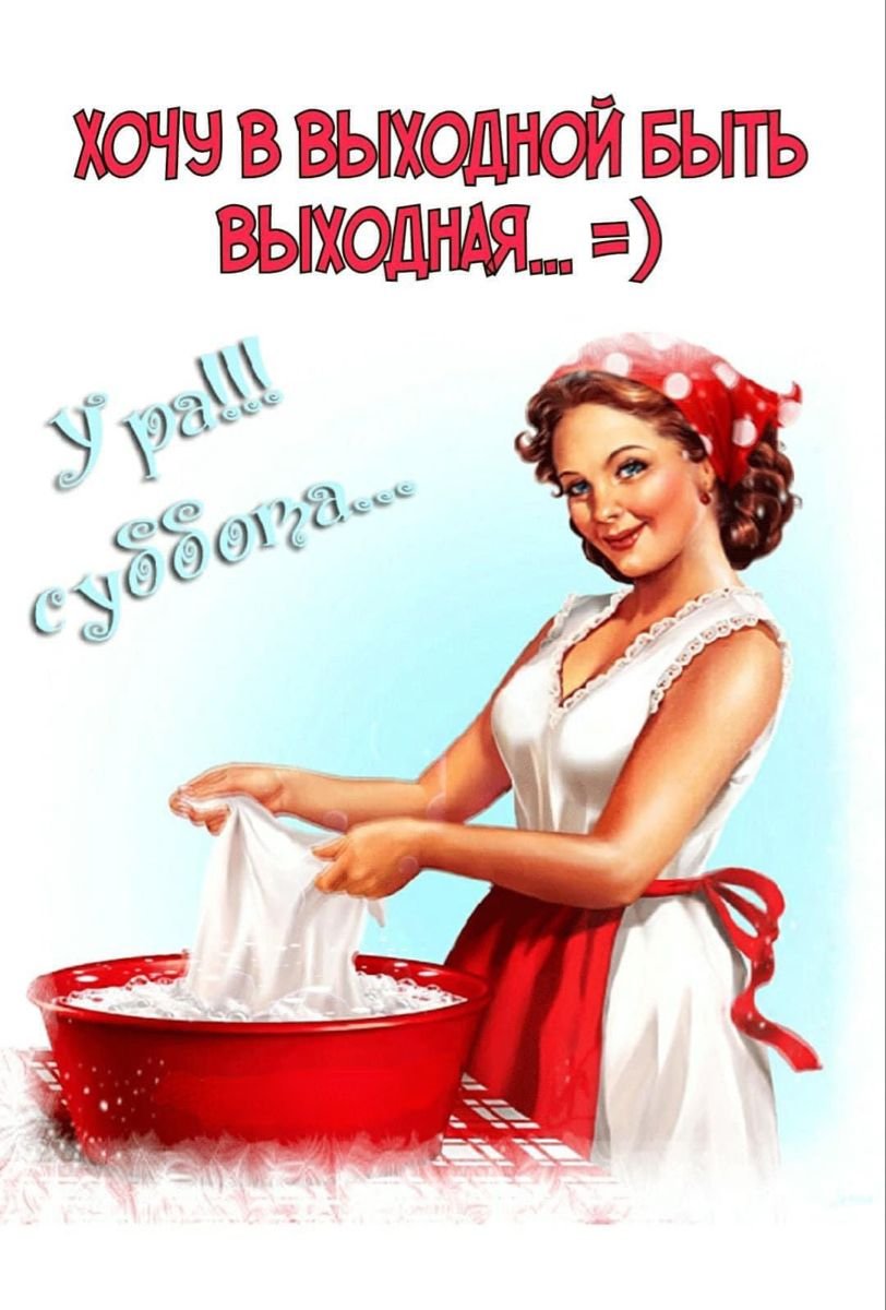 Смешная собака на море