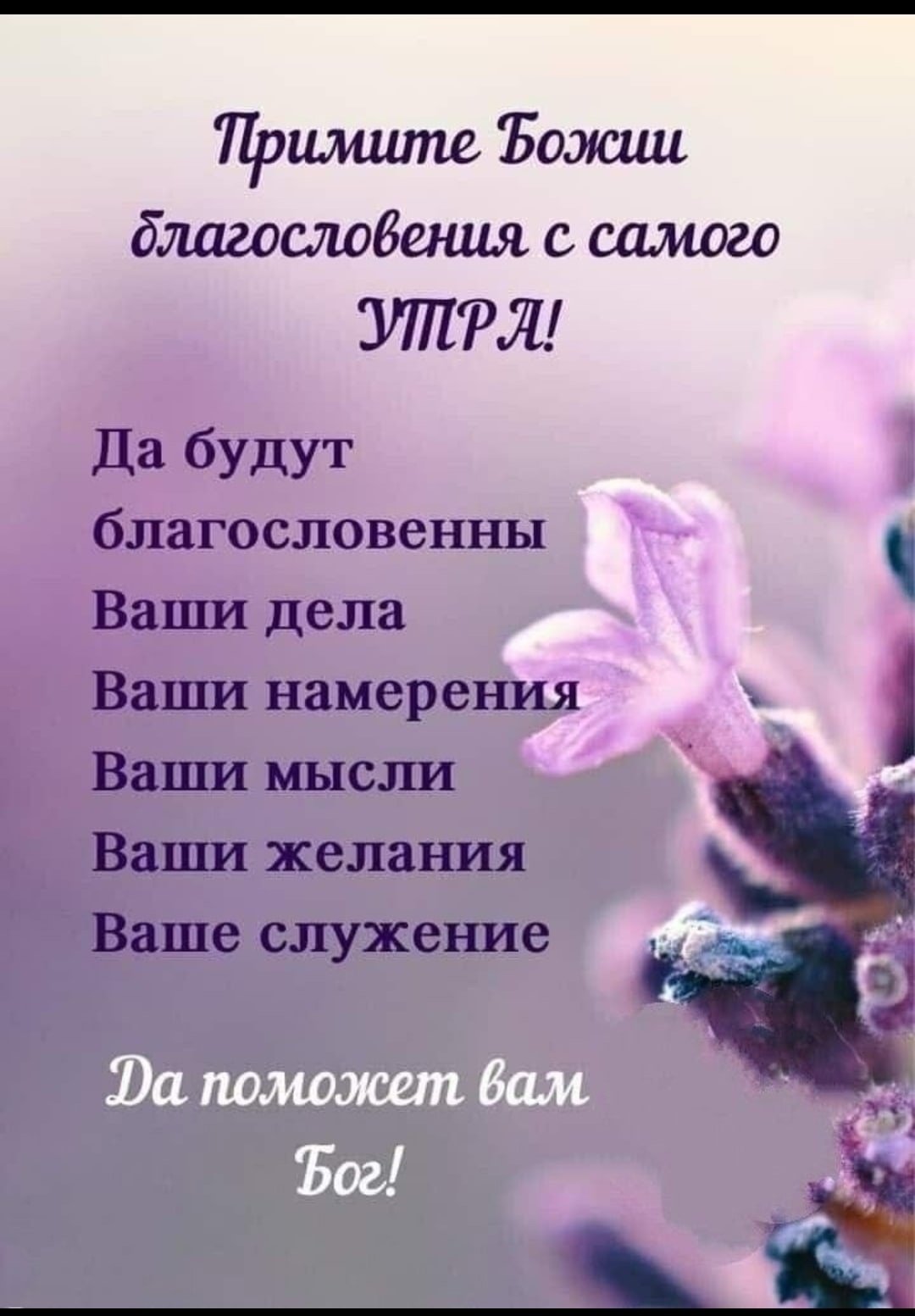 Божьего благословения на вечер и ночь