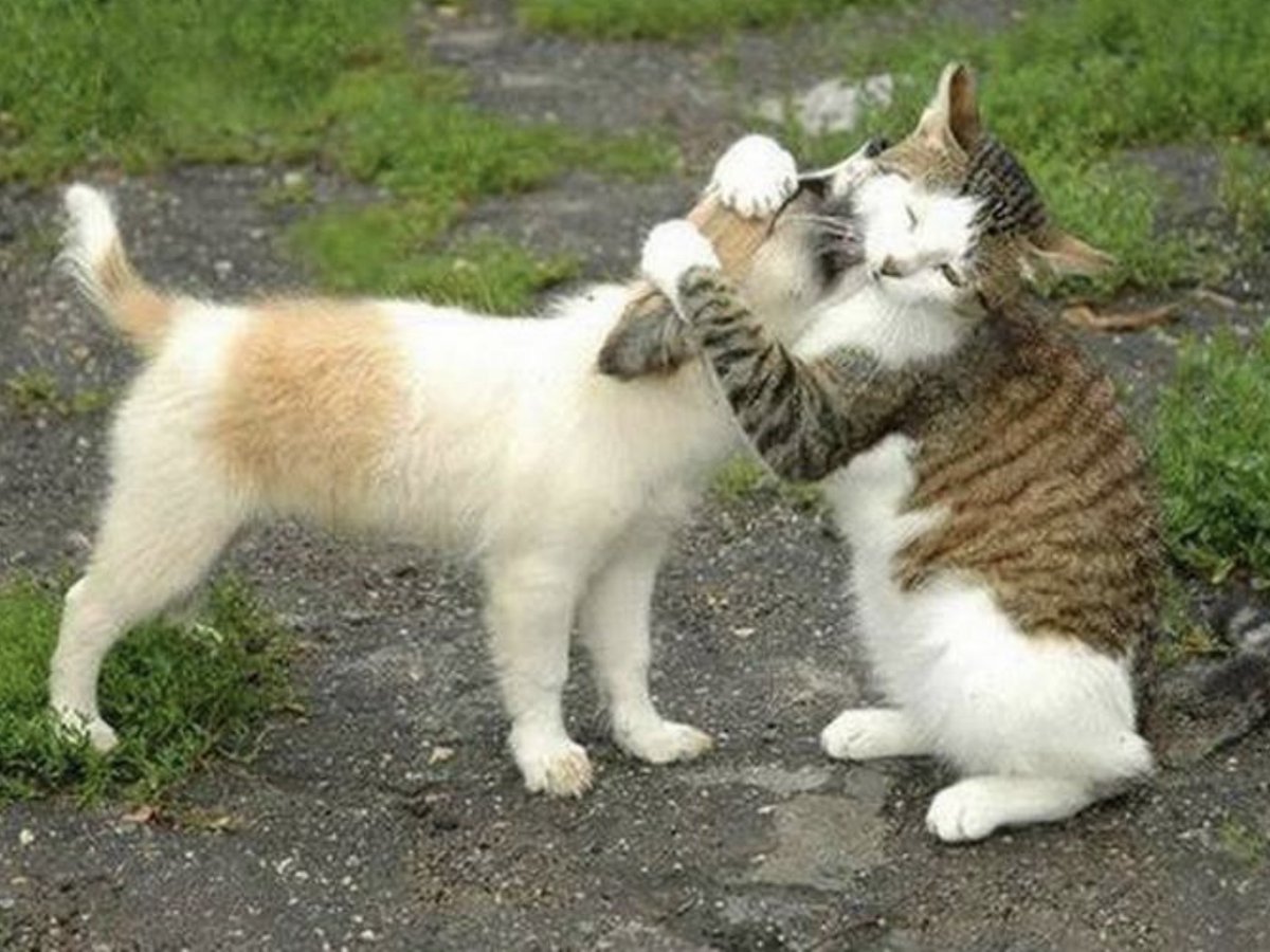 Открытки давай помиримся