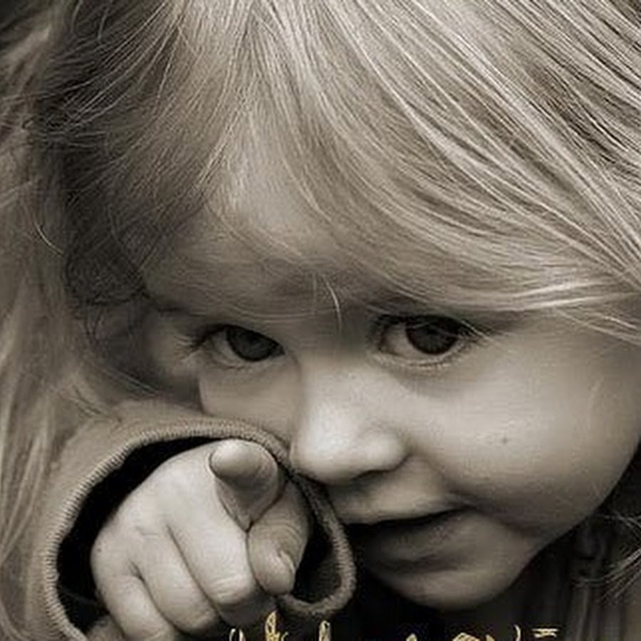 Мультфильм Ежик Трям