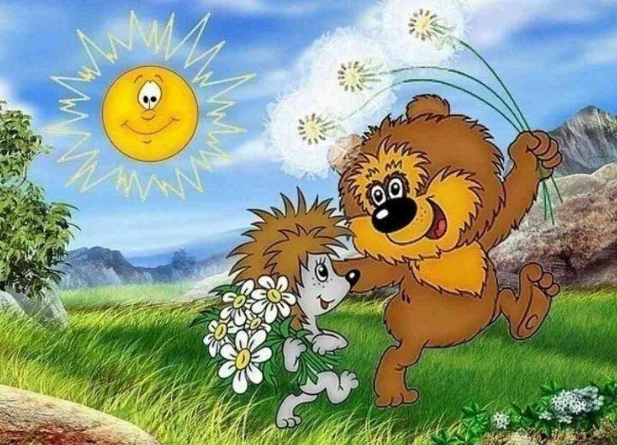 Дружба енота и кота