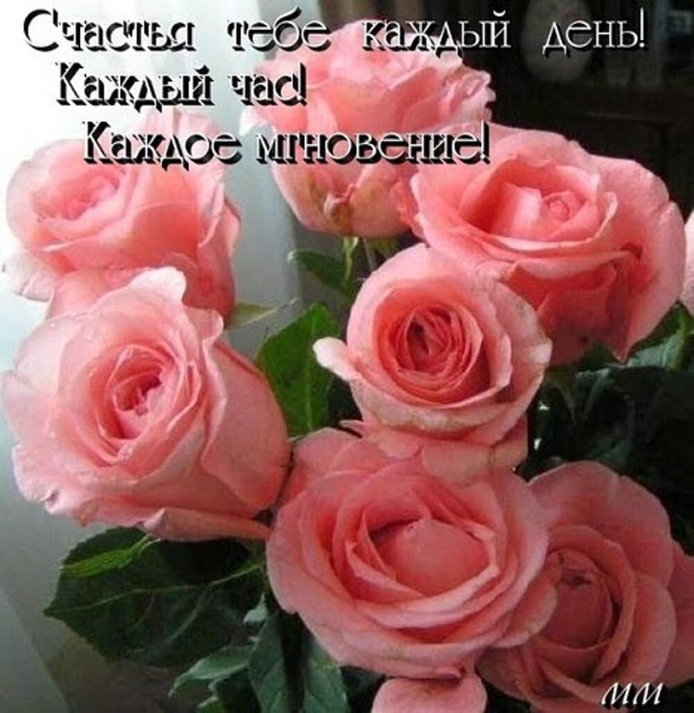 Розы с пожеланиями счастья