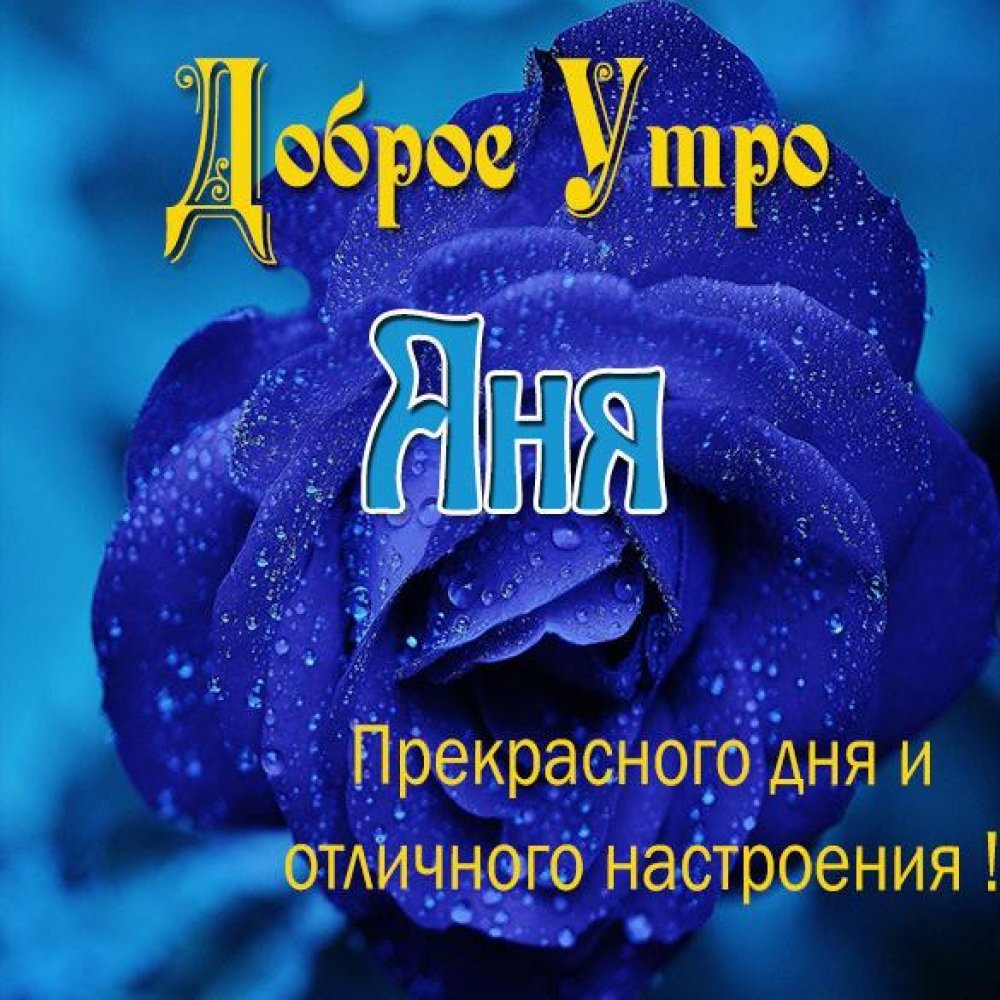 Чашка кофе утро