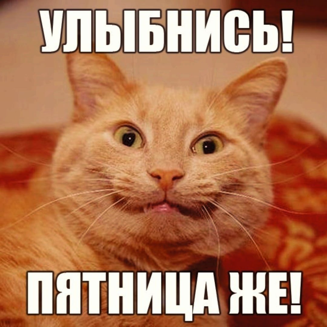 Ура пятница котики