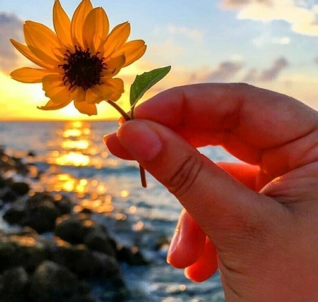 Цветок жизни