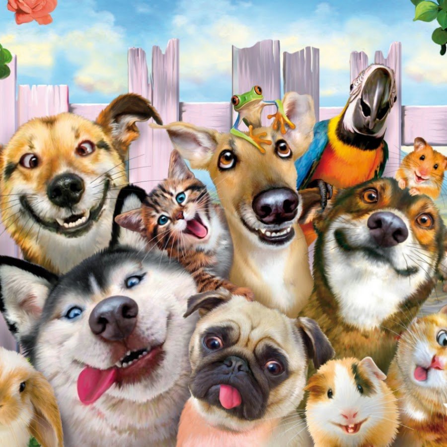 Карта животных