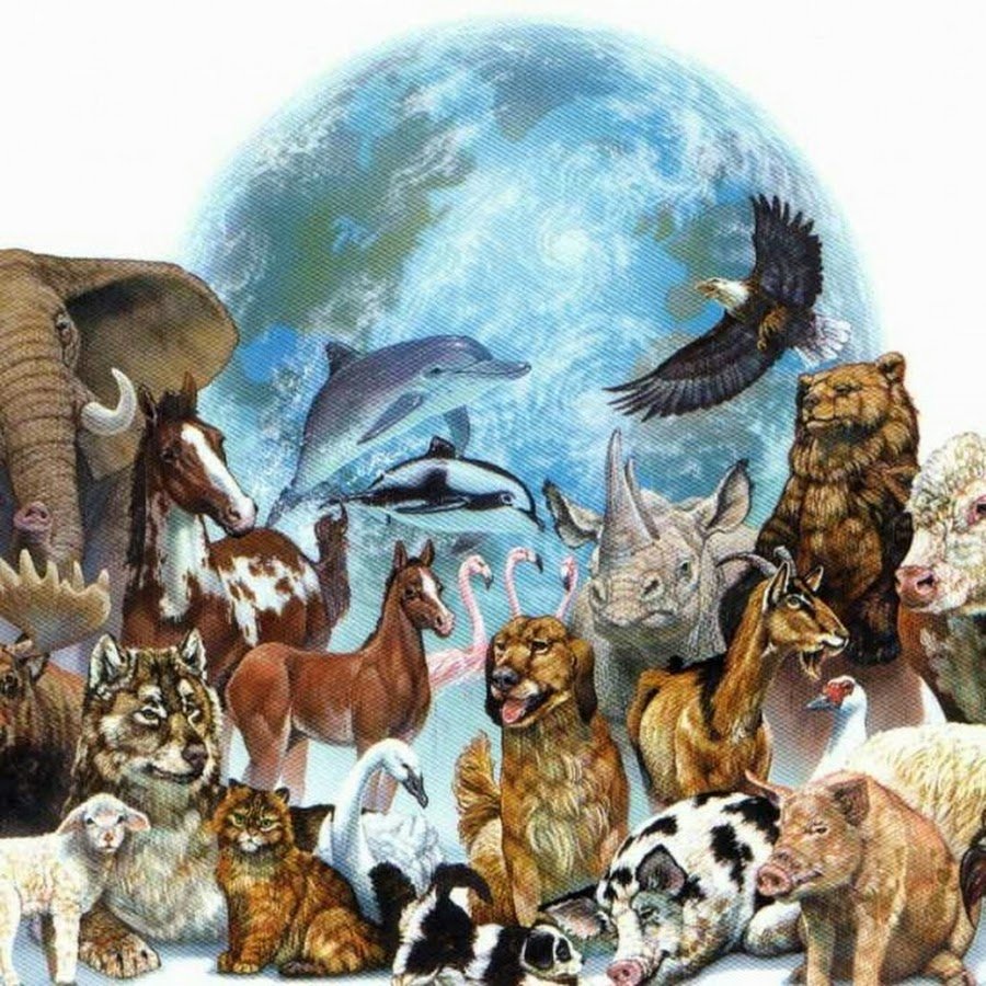 Разные животные