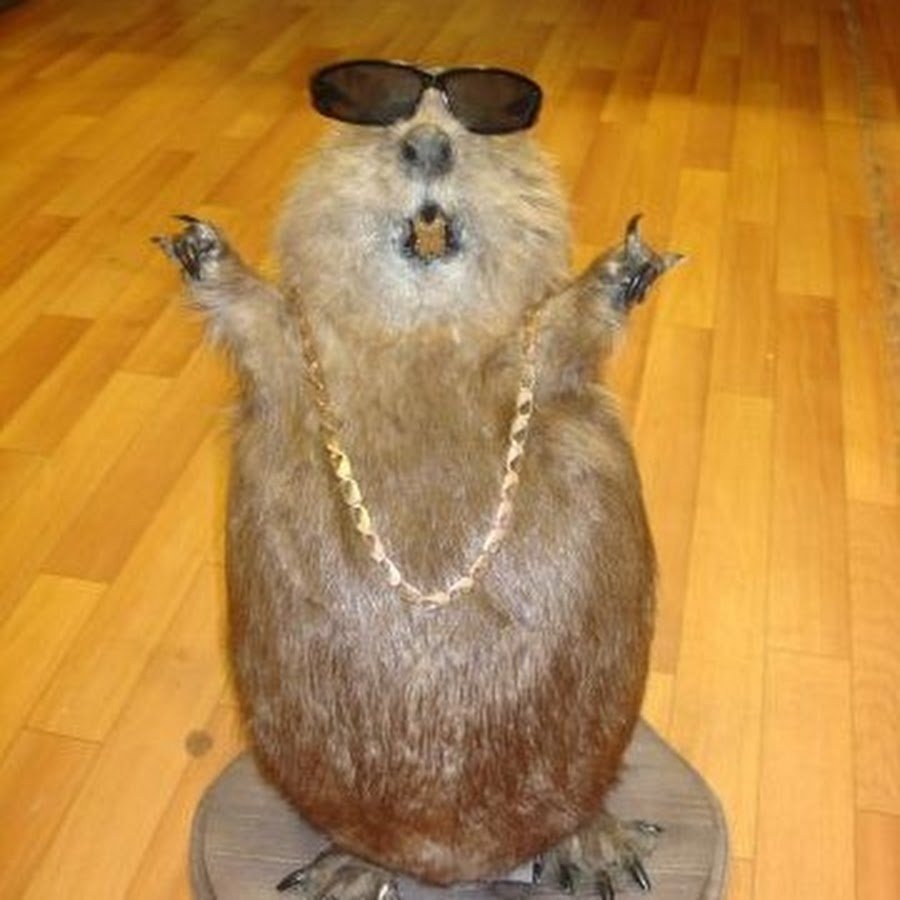 Чучело суслика