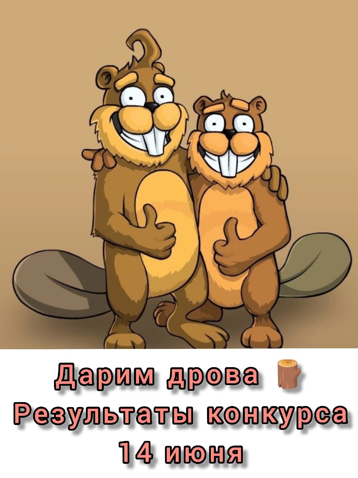 Смешные бобры