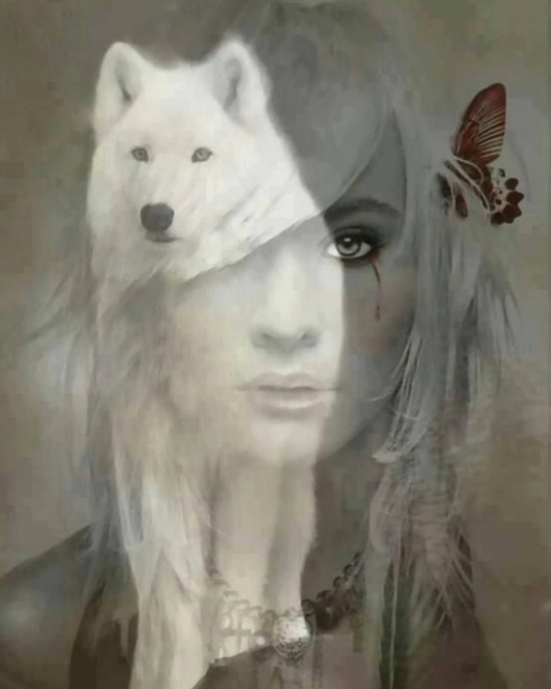 Volk Wolf белый и черный волк