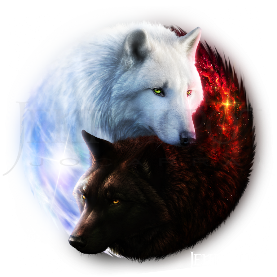 Красивый белый волк