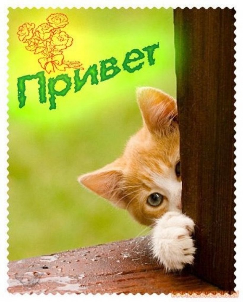 Открытки приветик от меня