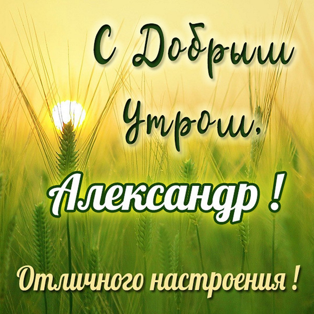 Открытки с именем Александр