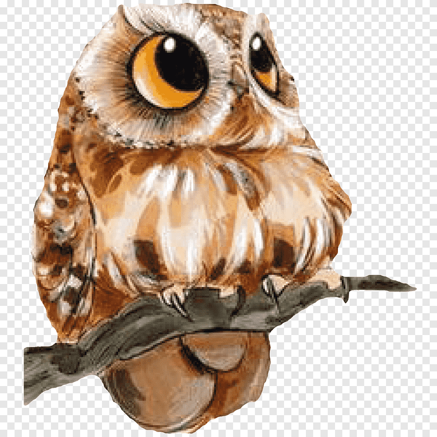 Совы мультяшные