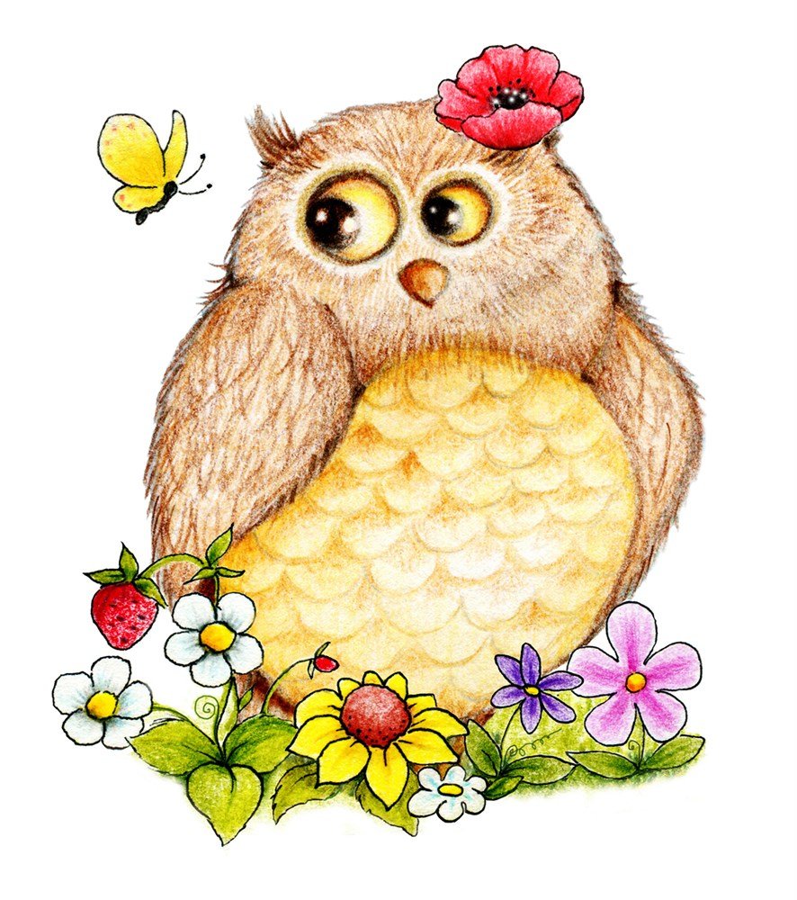 Совы мультяшные прикольные