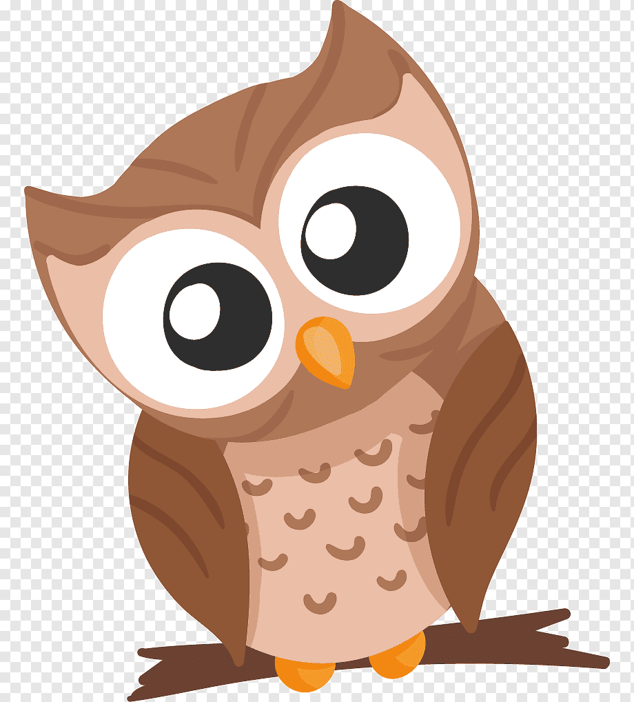 Совушка на белом фоне