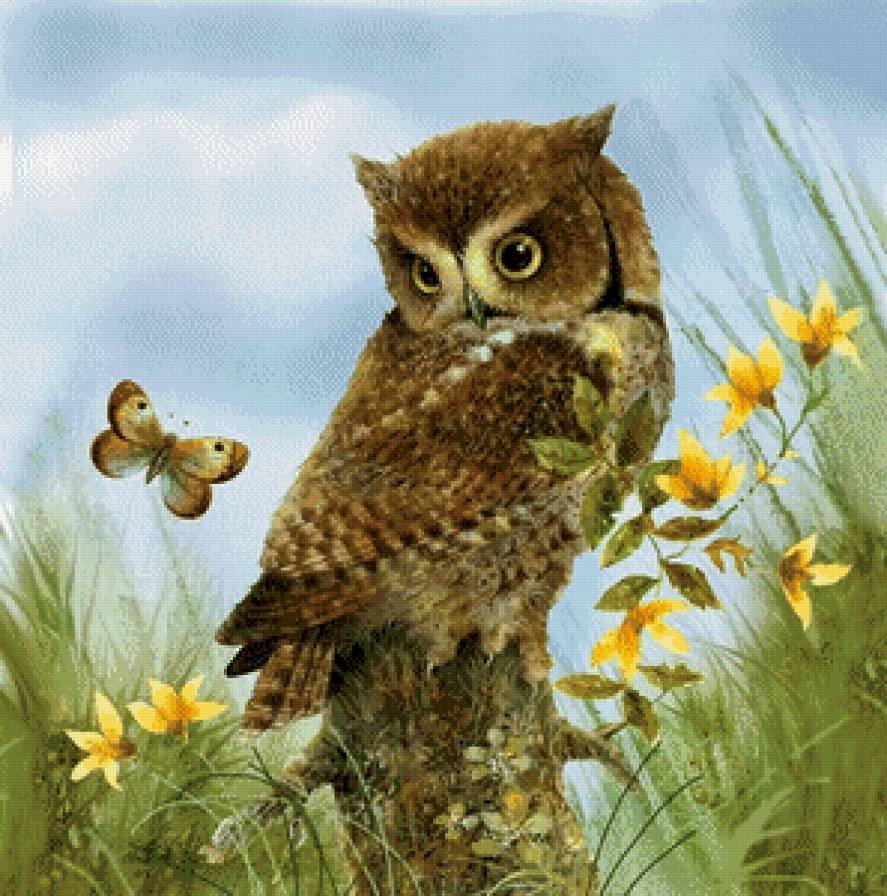 Грег Джордано картины