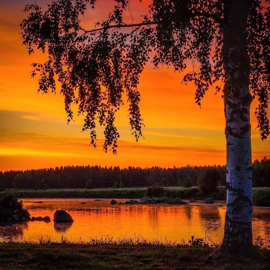 Леонидова Юлия Владимировна