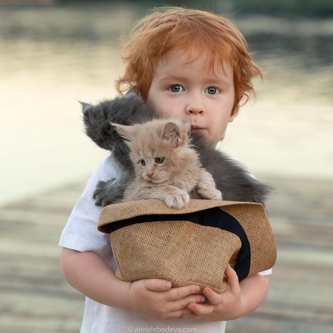 Девочка с котятами