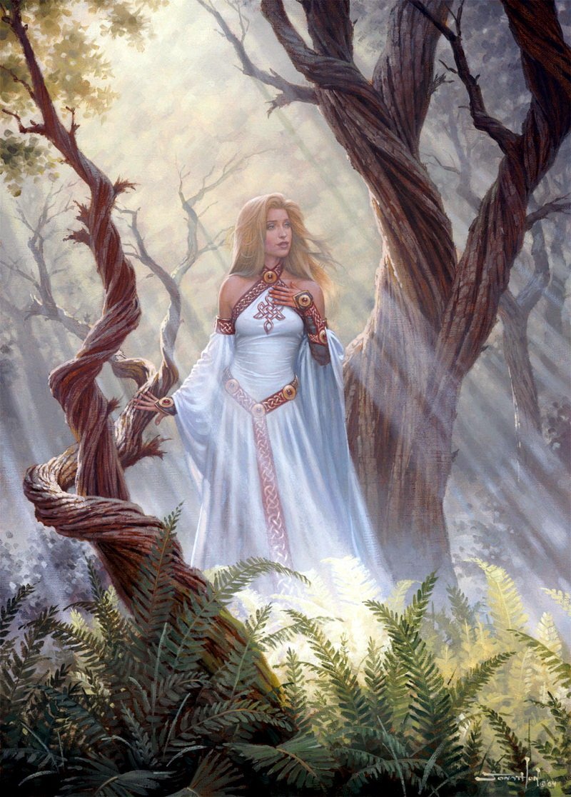 Канадский художник Джонатан Эрл Боузер Jonathon Earl Bowser