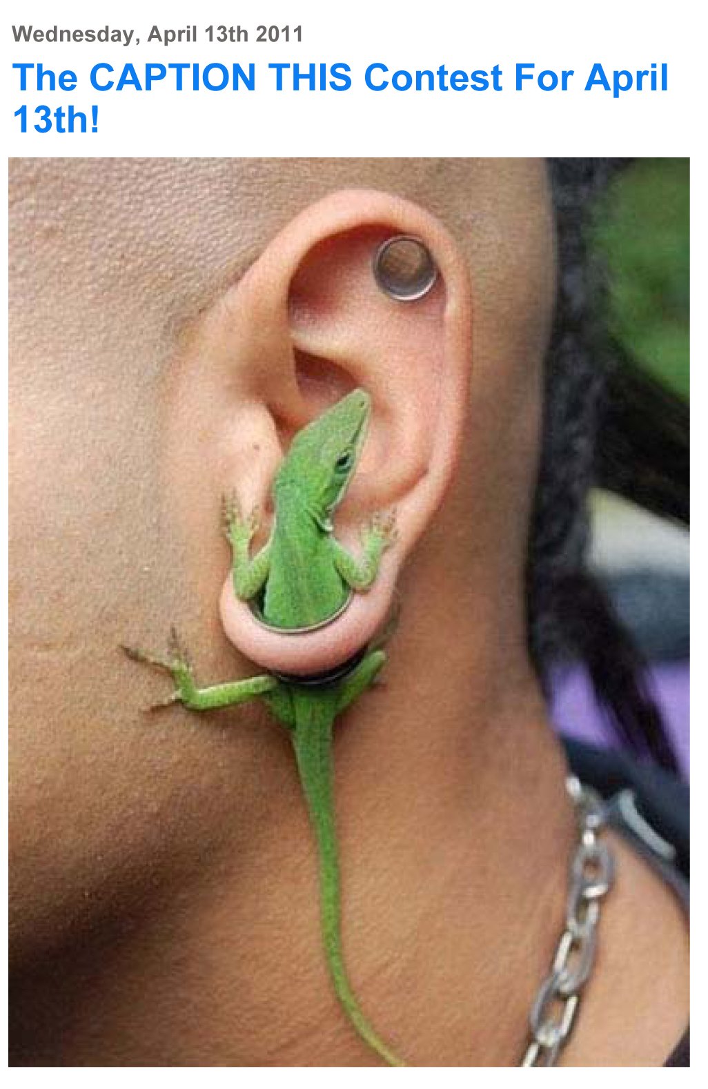 Котик с заячьими ушками