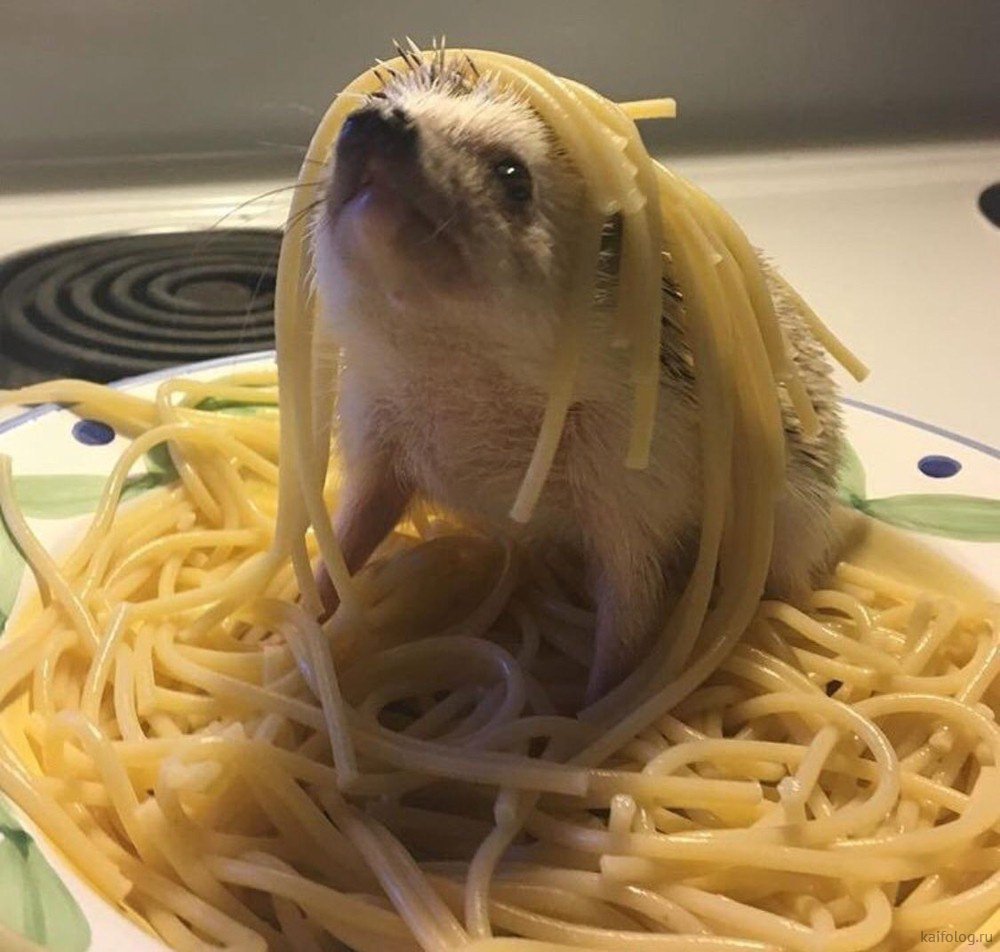 Кролик Уолли