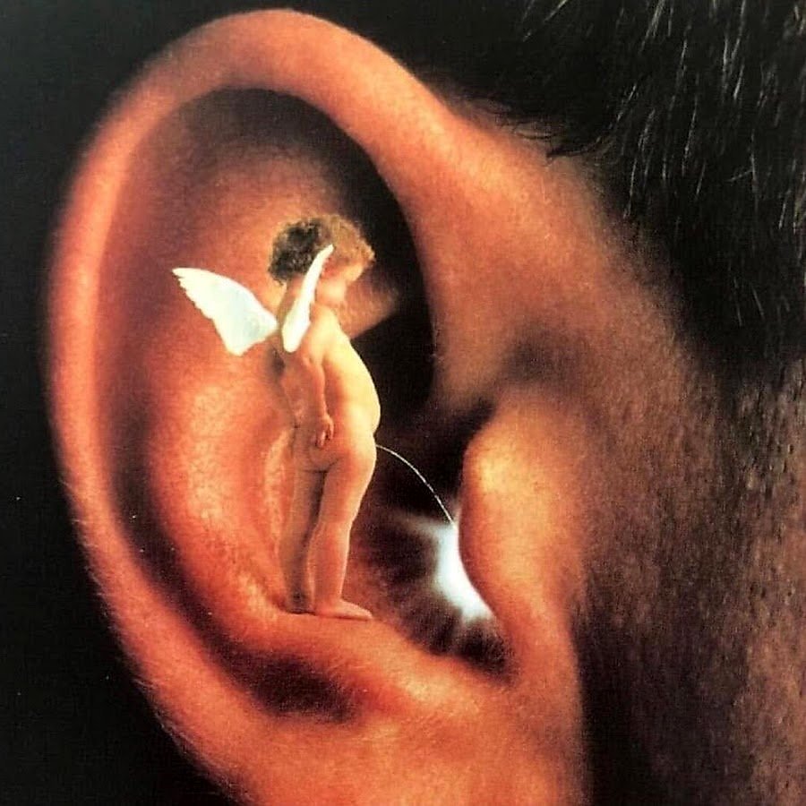 Пирсинг в ухо ящерица