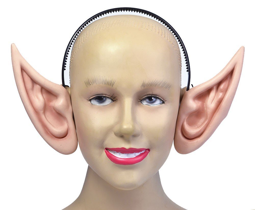 Собака на желтом фоне