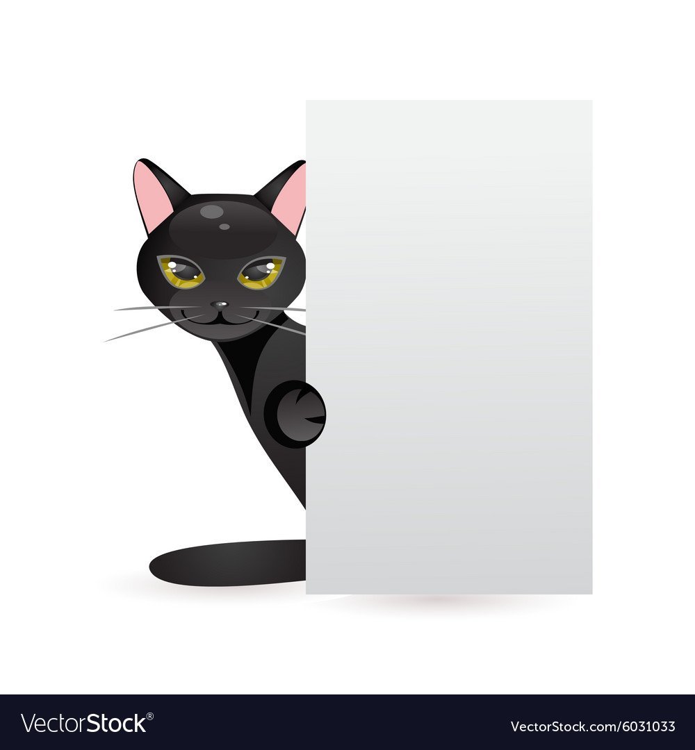 Котик из за угла