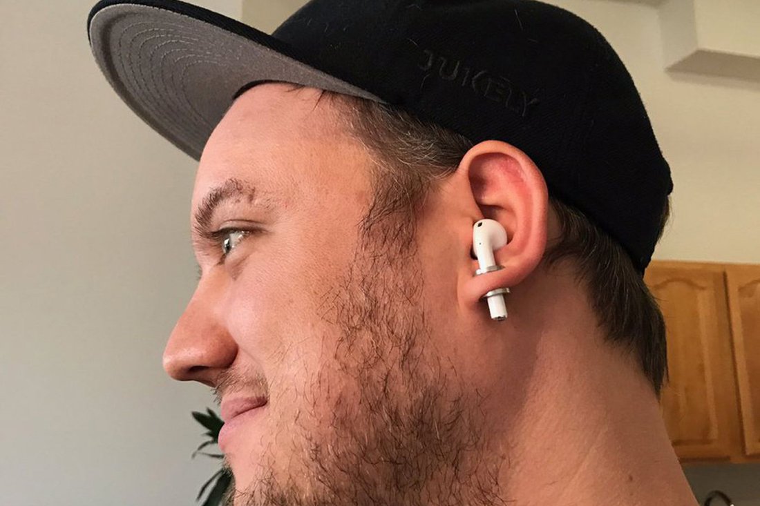 Милая смешная собака