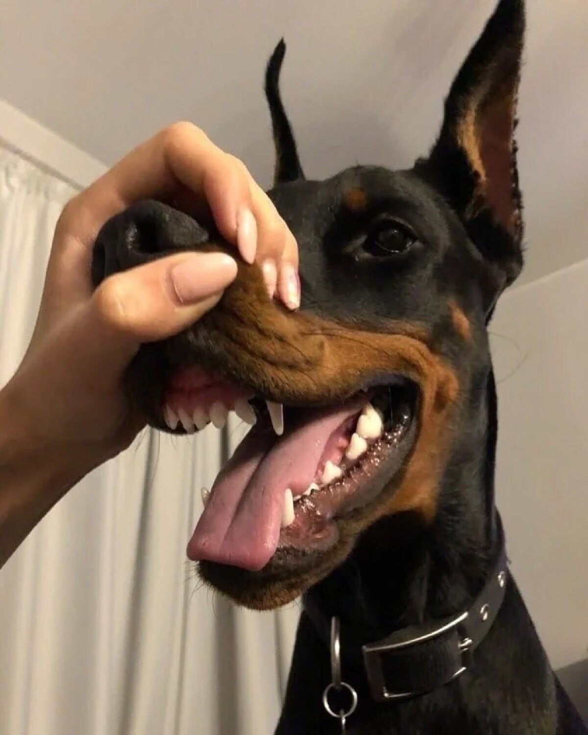 Стильный пирсинг ушей