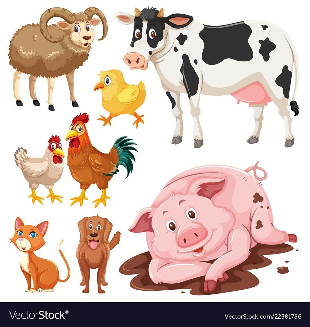 Корова бурёнушка