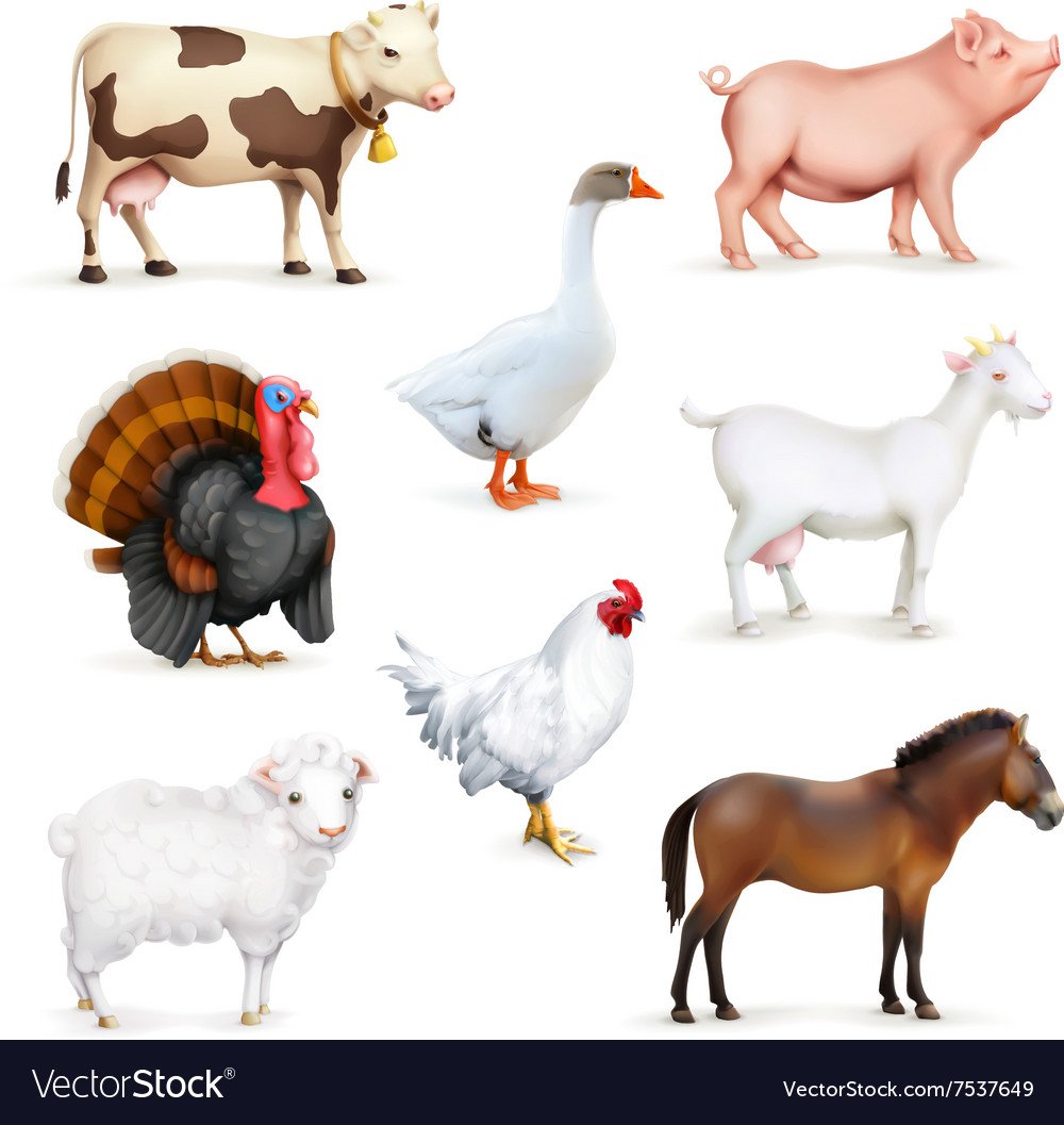 Корова коза курица