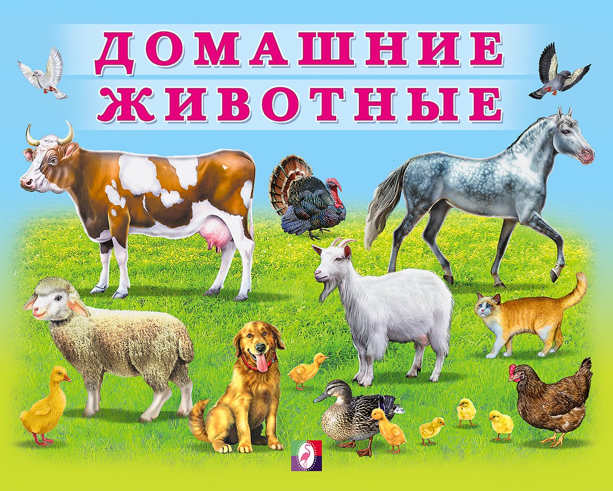 Домашние животные вектор