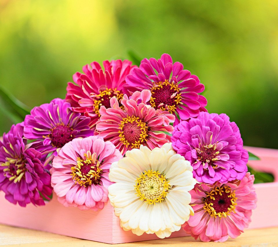 С днём рождения сестрара