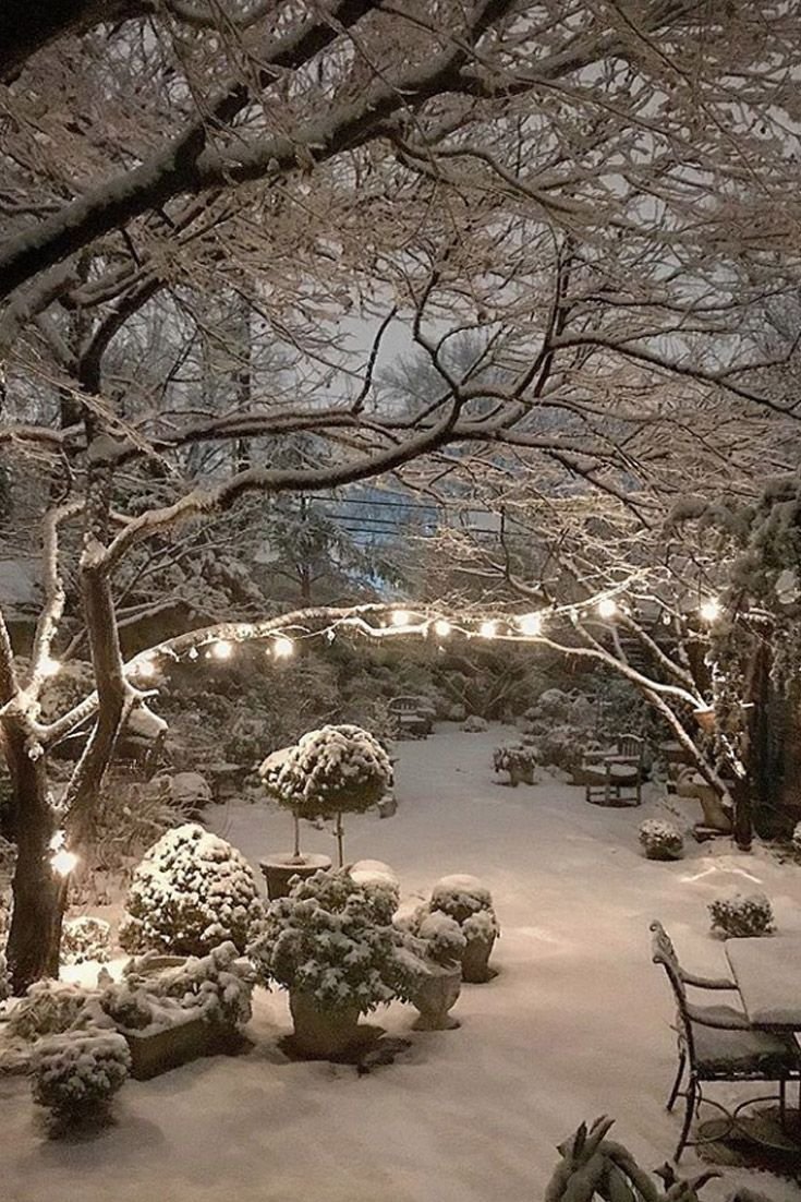 Ландшафт зимой