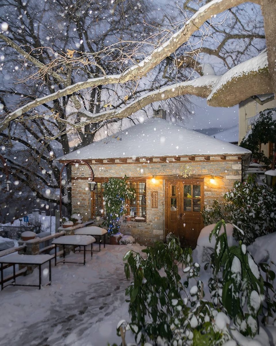 Зима в саду