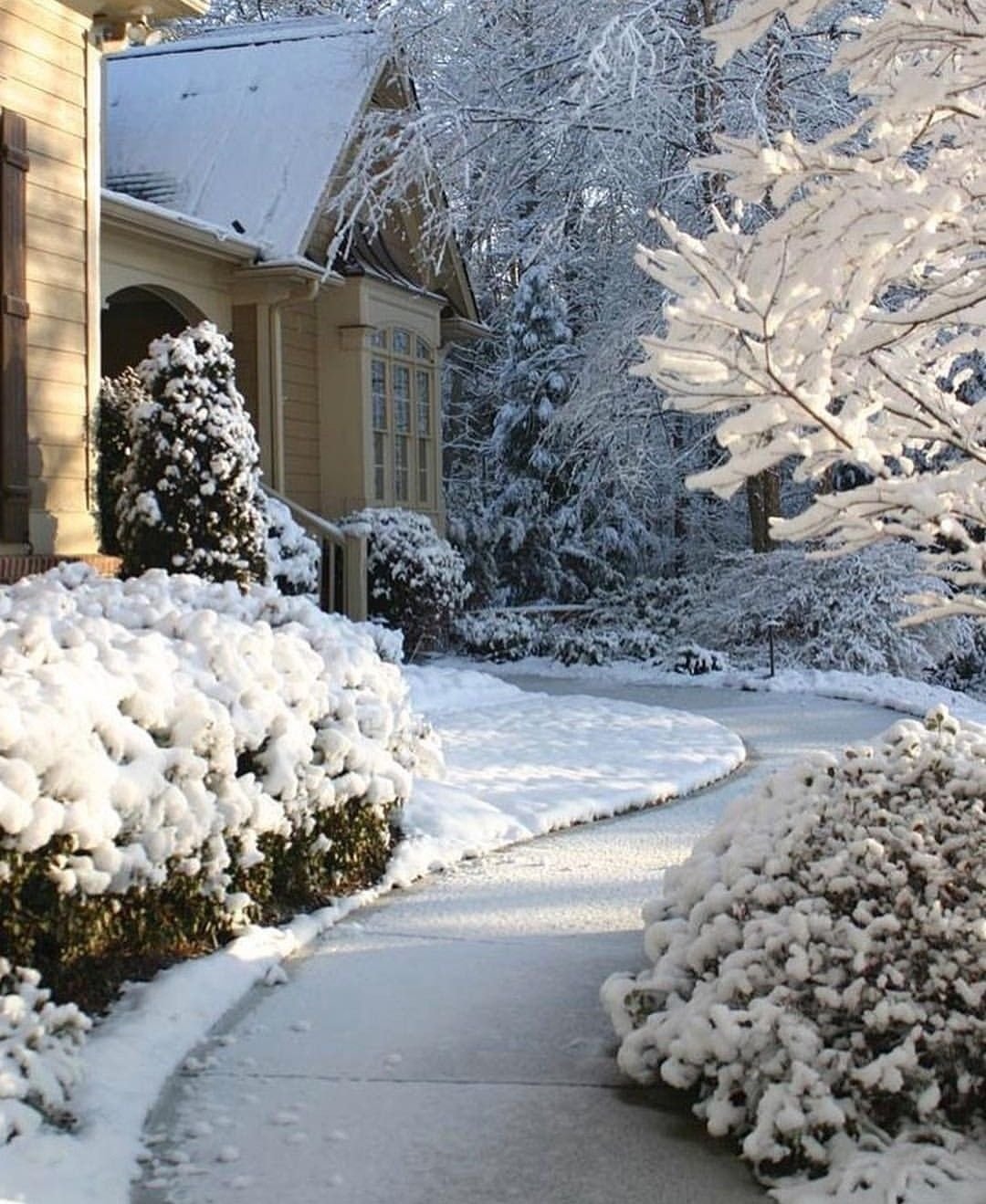 Зимний ландшафт