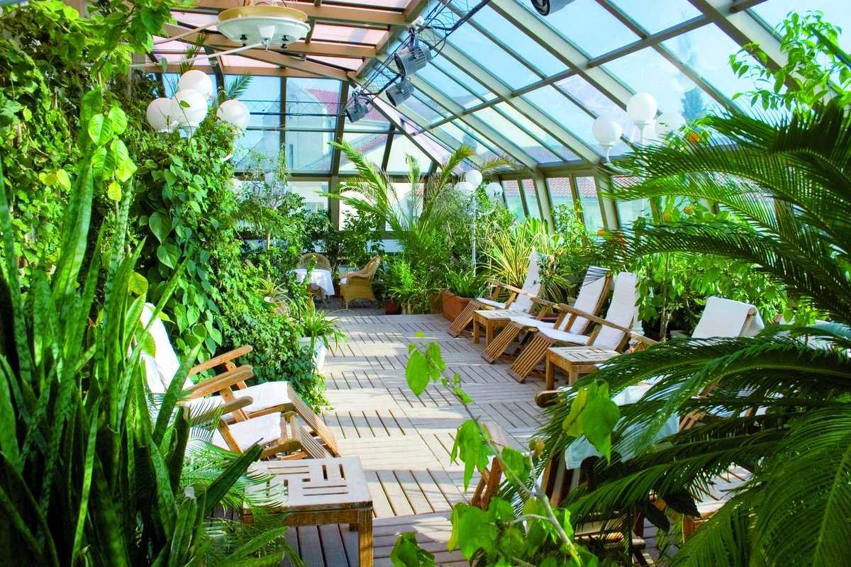 ЛДМ оранжерея