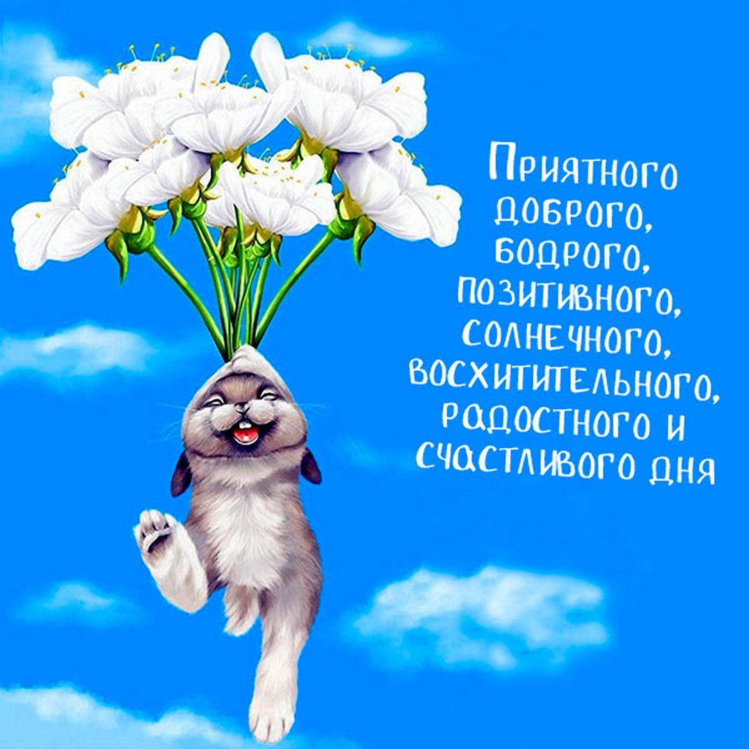 Прикольные поздравления с днем рождения