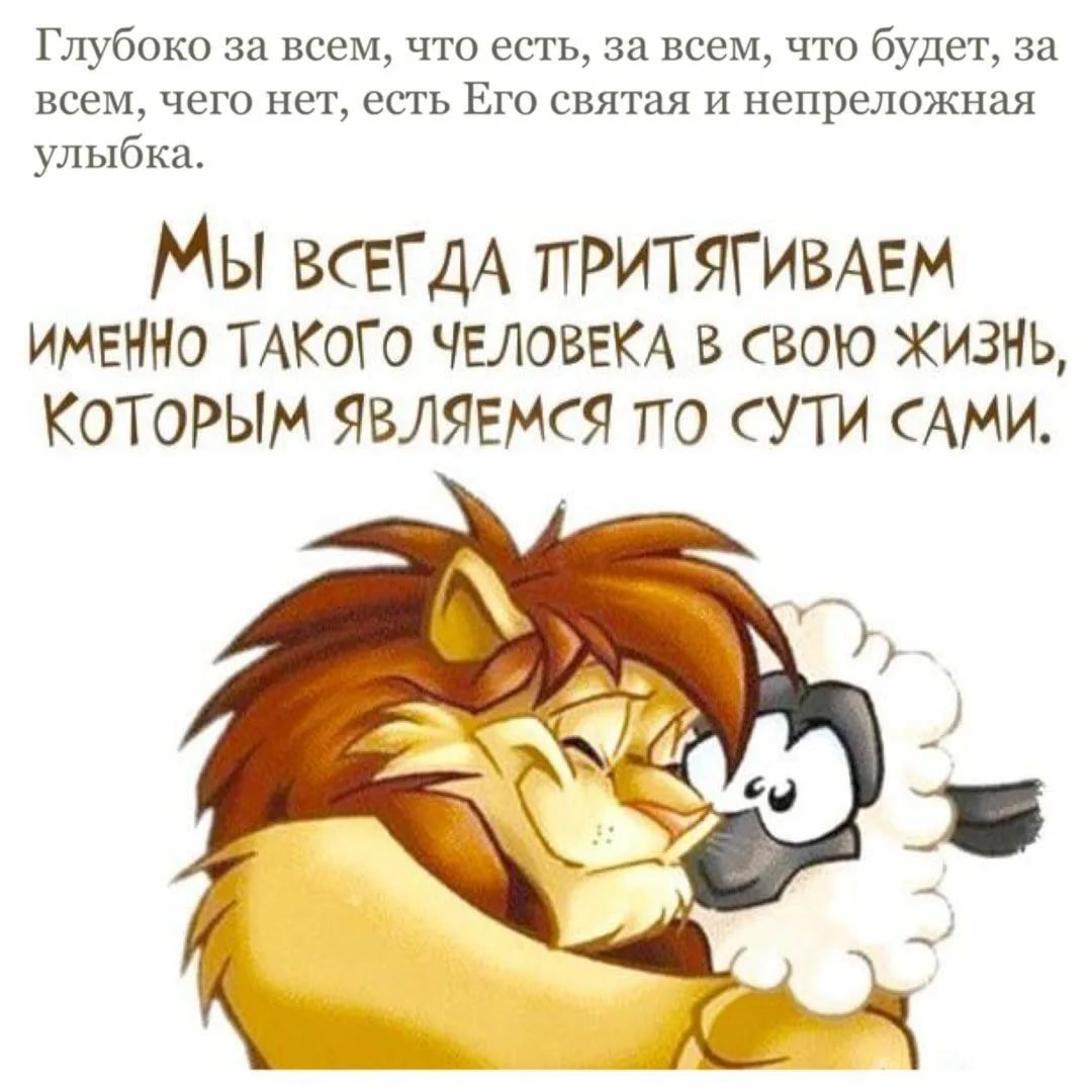 Цитаты про любовь прикольные