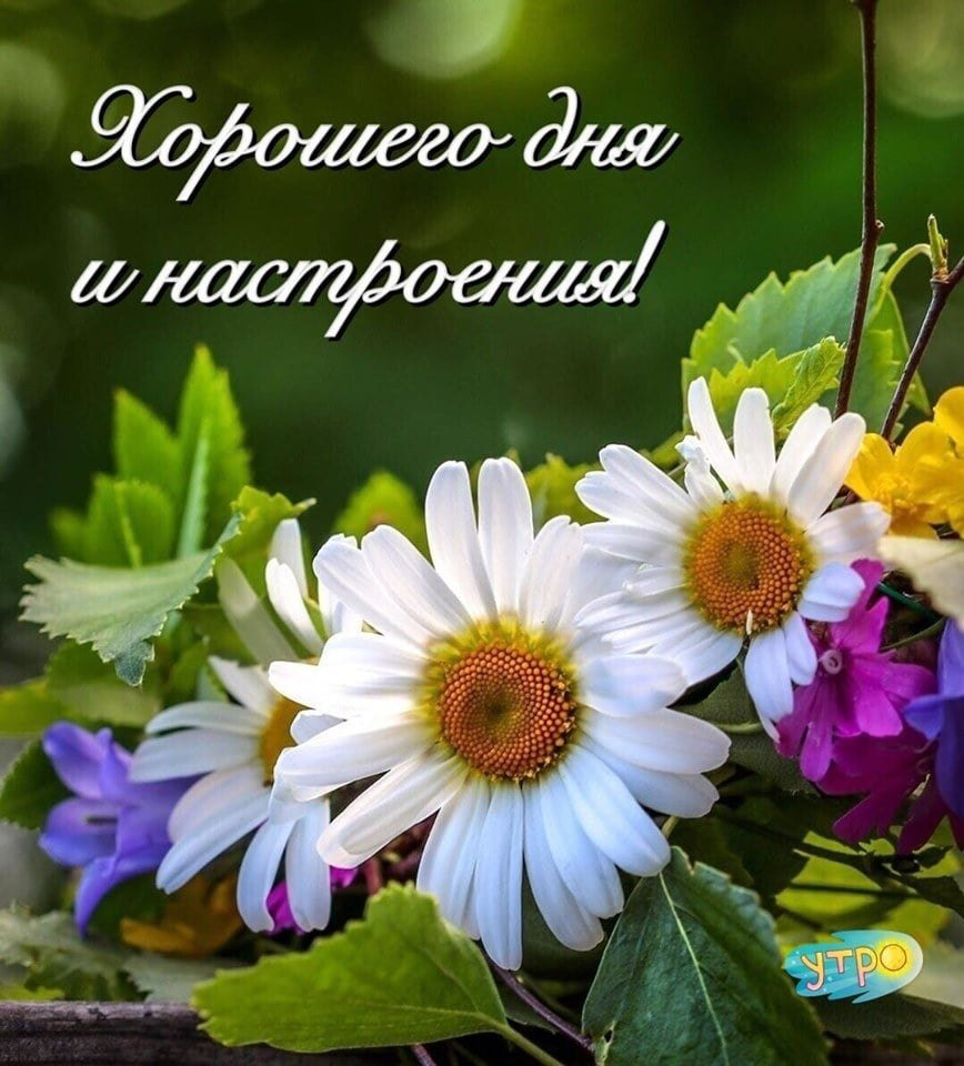 Доброго дня и хорошего настроения