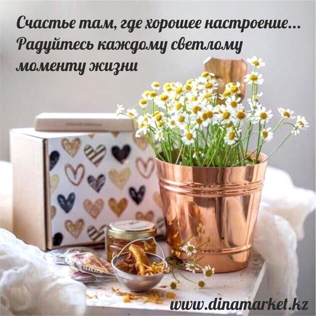 Высказывания с добрым утром