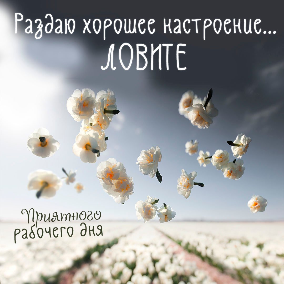 Доброе утро удачного дня и отличного настроения со смыслом