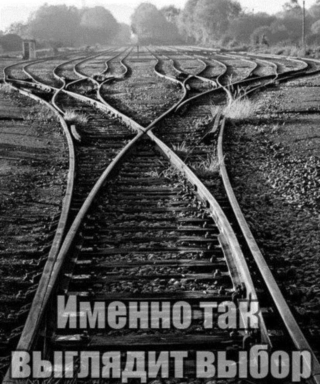 Черно белый снимок