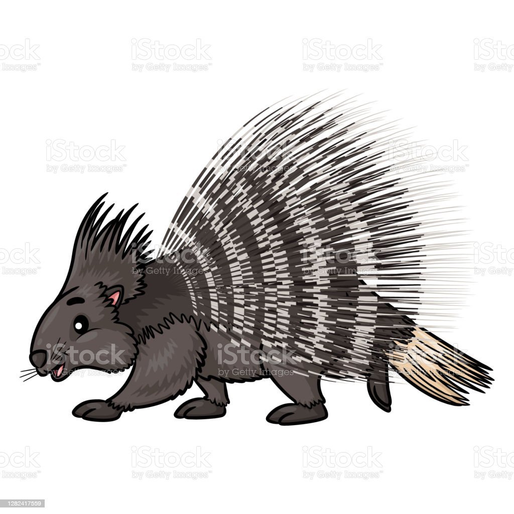 Дикобраз и Ежик