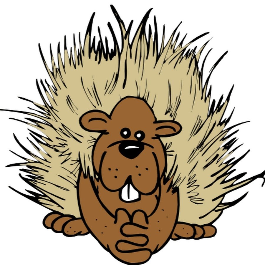 Скелет дикобраза шаблон